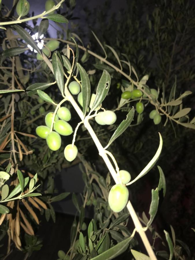 הוילה Aghīr Dar Slima מראה חיצוני תמונה